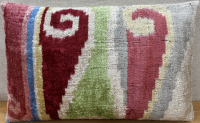 Velvet Pillow ( 30 x 50 cm )