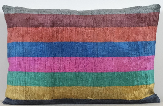 Velvet Pillow ( 40 x 60 cm )