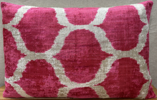 Velvet Pillow ( 40 x 60 cm )