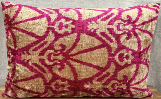 Velvet Pillow ( 40 x 60 cm )