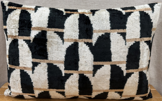 Velvet Pillow ( 40 x 60 cm )