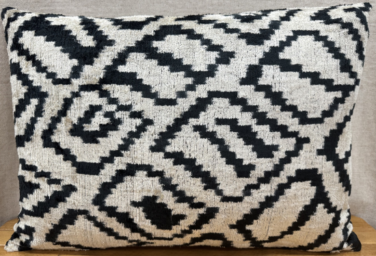 Velvet Pillow ( 40 x 60 cm )