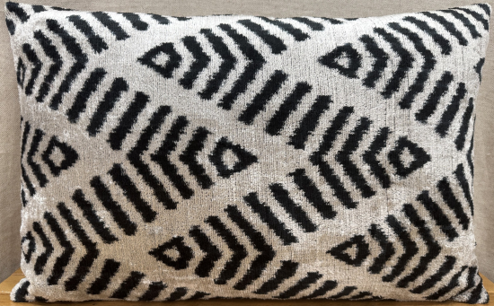 Velvet Pillow ( 40 x 60 cm )