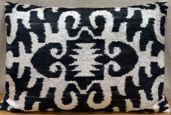 Velvet Pillow ( 40 x 60 cm )