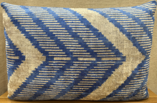 Velvet Pillow ( 40 x 60 cm )