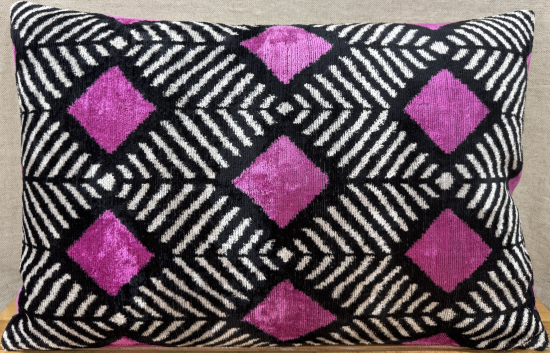 Velvet Pillow ( 40 x 60 cm )