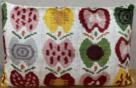 Velvet Pillow ( 40 x 60 cm )