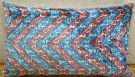 Velvet Pillow ( 30 x 50 cm )