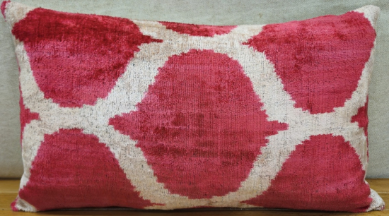 Velvet Pillow ( 30 x 50 cm )