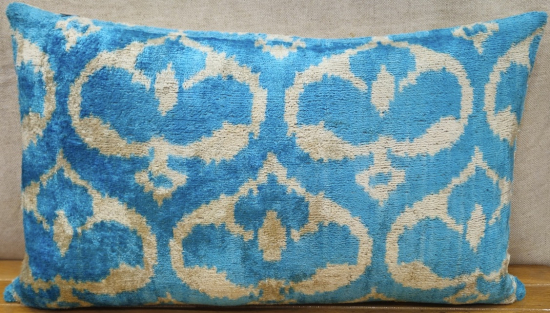 Velvet Pillow ( 30 x 50 cm )