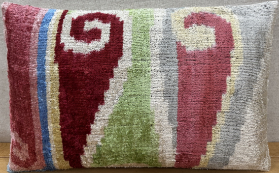 Velvet Pillow ( 30 x 50 cm )