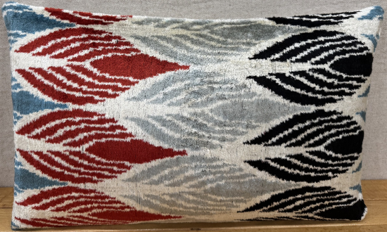 Velvet Pillow ( 30 x 50 cm )