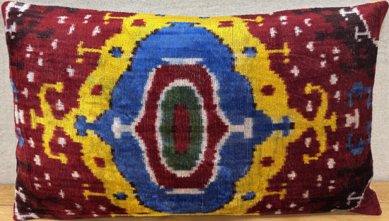 Velvet Pillow ( 30 x 50 cm )