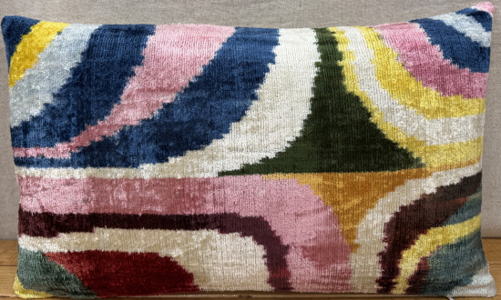 Velvet Pillow ( 30 x 50 cm )