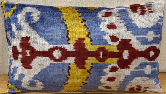 Velvet Pillow ( 30 x 50 cm )