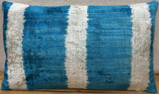 Velvet Pillow ( 30 x 50 cm )