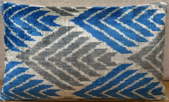 Velvet Pillow ( 30 x 50 cm )