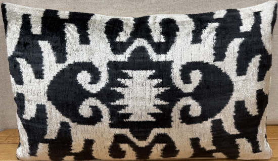 Velvet Pillow ( 30 x 50 cm )