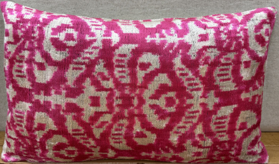 Velvet Pillow ( 30 x 50 cm )