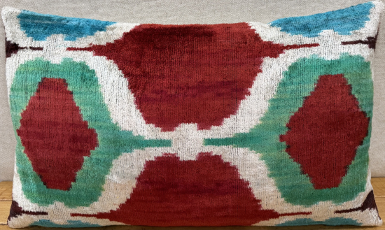 Velvet Pillow ( 30 x 50 cm )