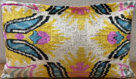 Velvet Pillow ( 30 x 50 cm )