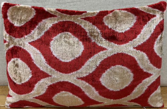 Velvet Pillow ( 30 x 50 cm )