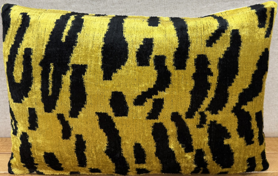 Velvet Pillow ( 30 x 50 cm )