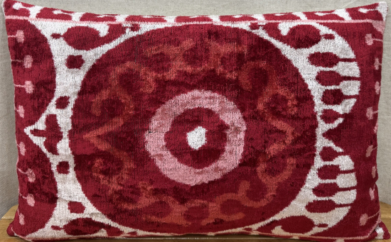 Velvet Pillow ( 40 x 60 cm )