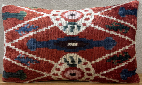 Velvet Pillow ( 30 x 50 cm )