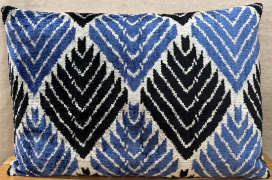 Velvet Pillow ( 40 x 60 cm )