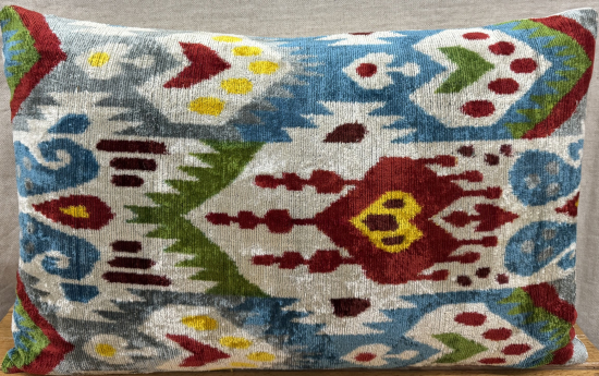 Velvet Pillow ( 40 x 60 cm )