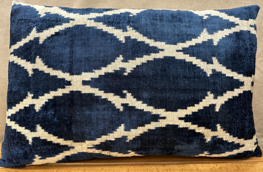 Velvet Pillow ( 40 x 60 cm )