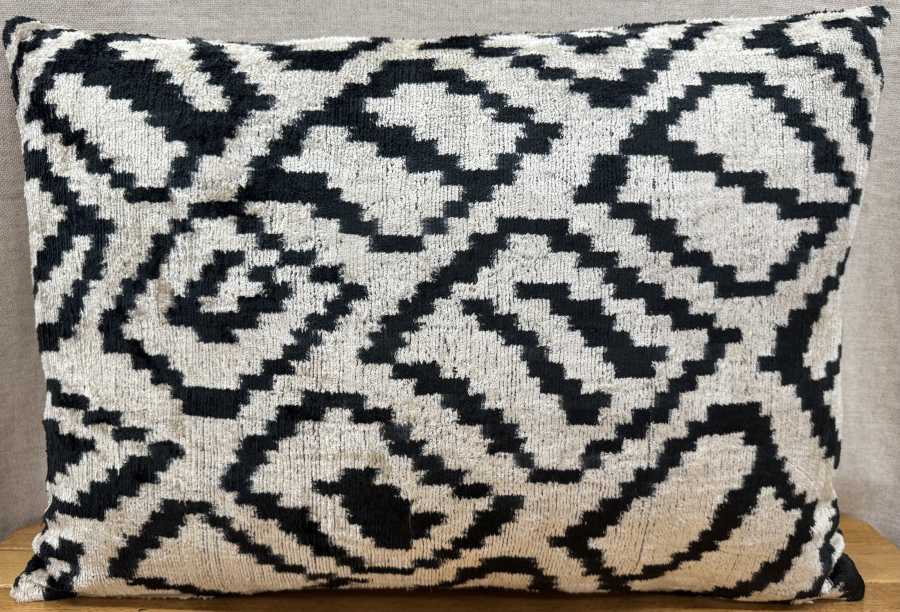 Velvet Pillow ( 40 x 60 cm )