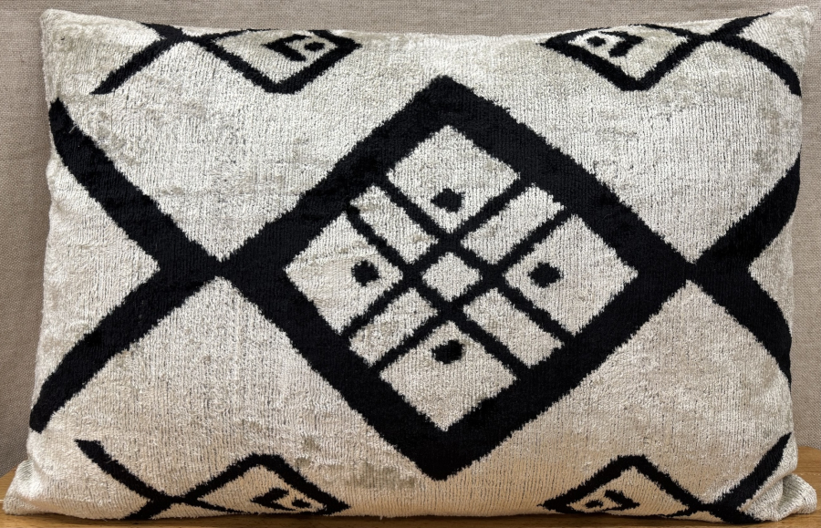 Velvet Pillow ( 40 x 60 cm )