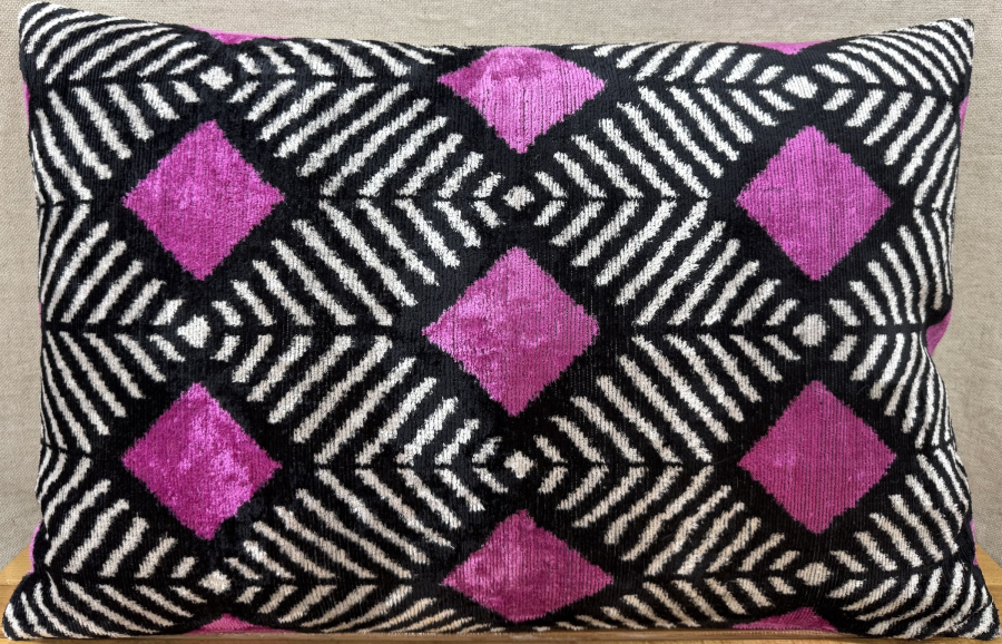 Velvet Pillow ( 40 x 60 cm )