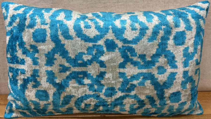 Velvet Pillow ( 30 x 50 cm )